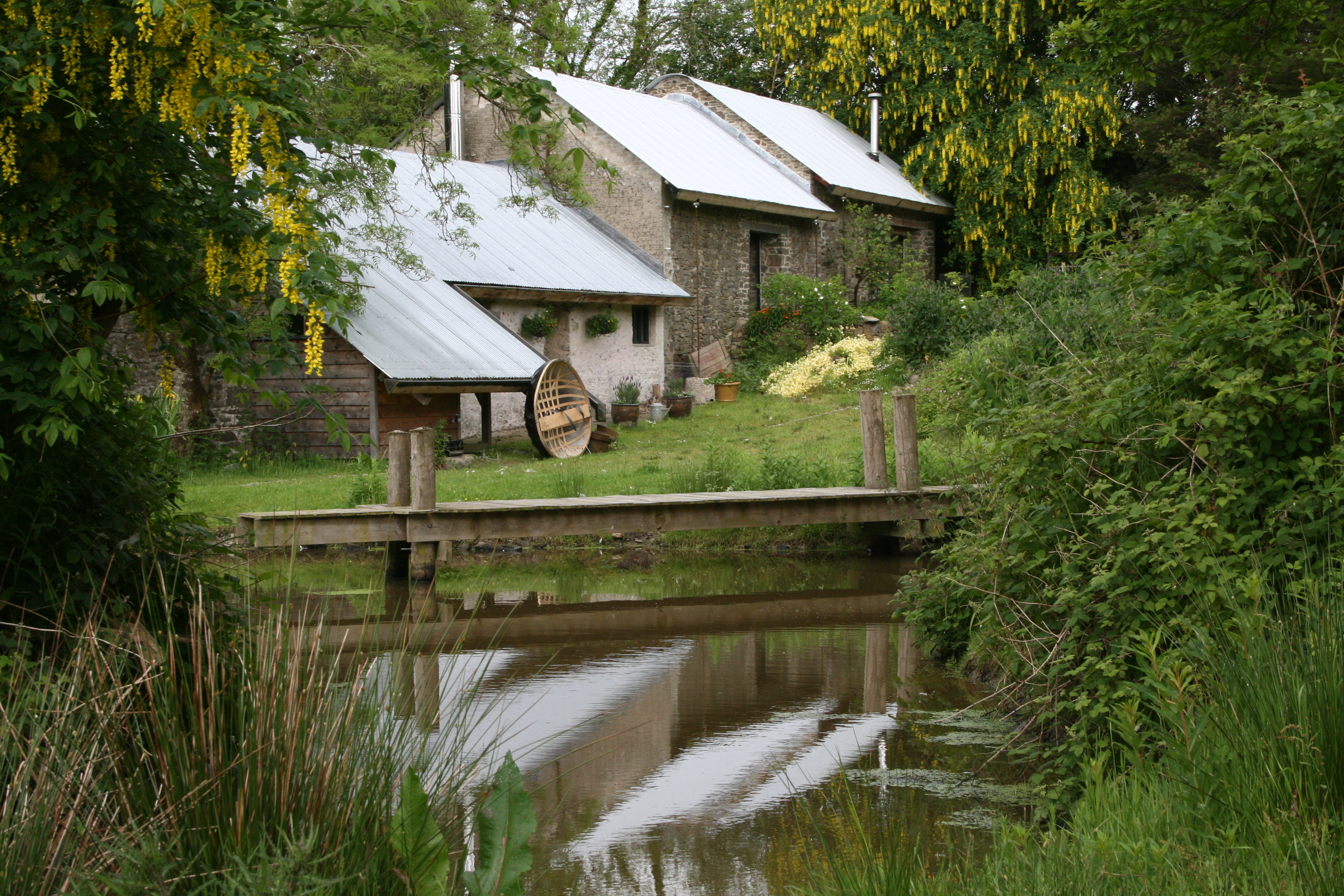This image has an empty alt attribute; its file name is Wildernest.jpg